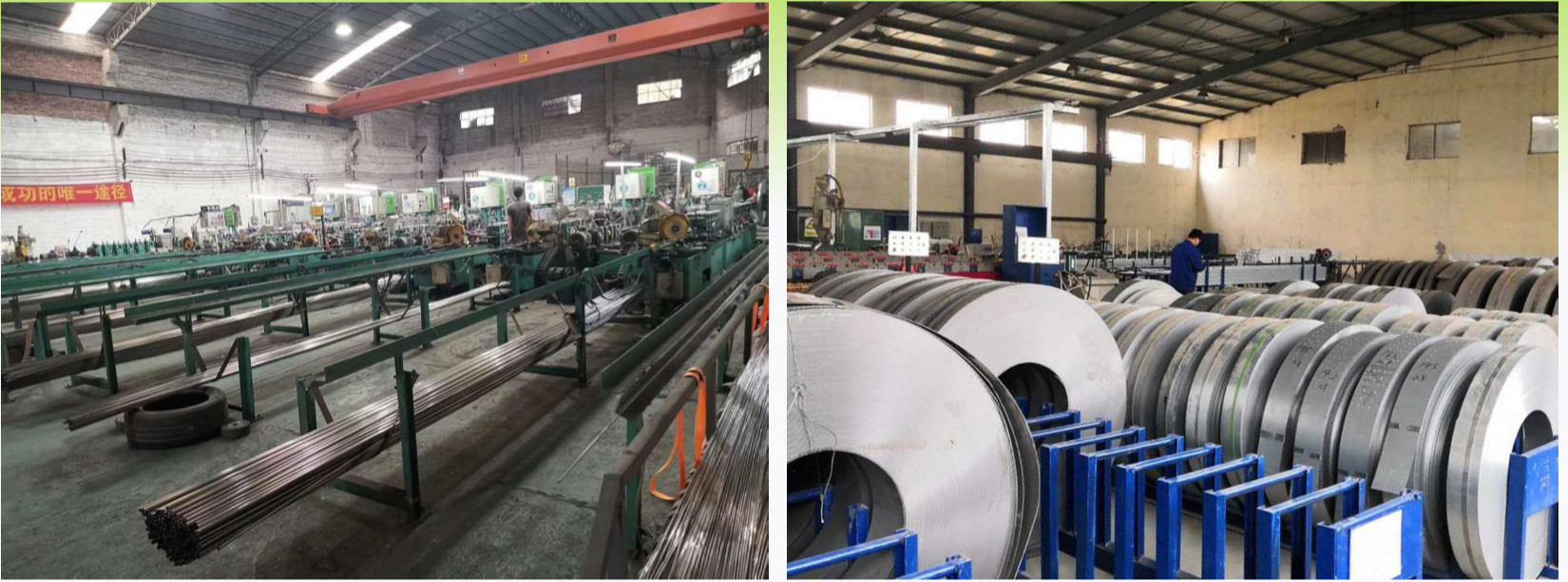 चीन Lief Technology Company Limited कंपनी प्रोफाइल